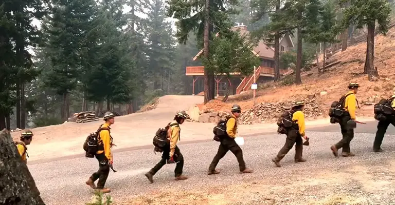 How to Choose the Best Wildland Firefighting Boots