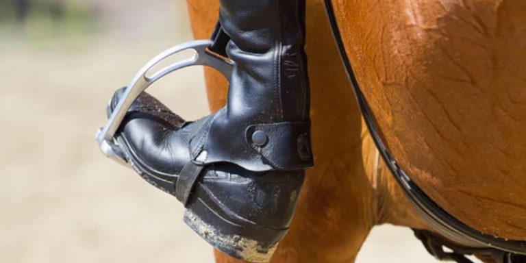 What Are The Best Paddock Boots For Horse Riding? | Footwear Boss